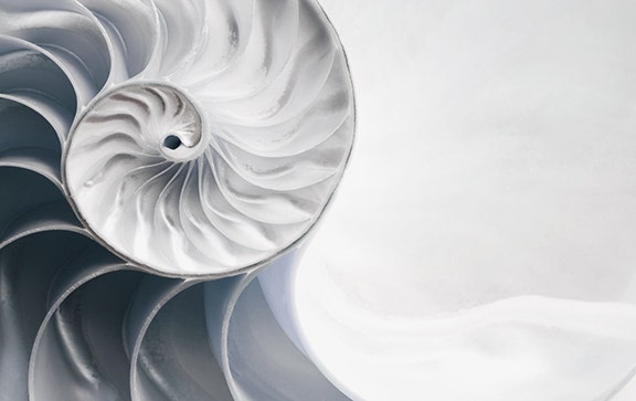 medical practice guide