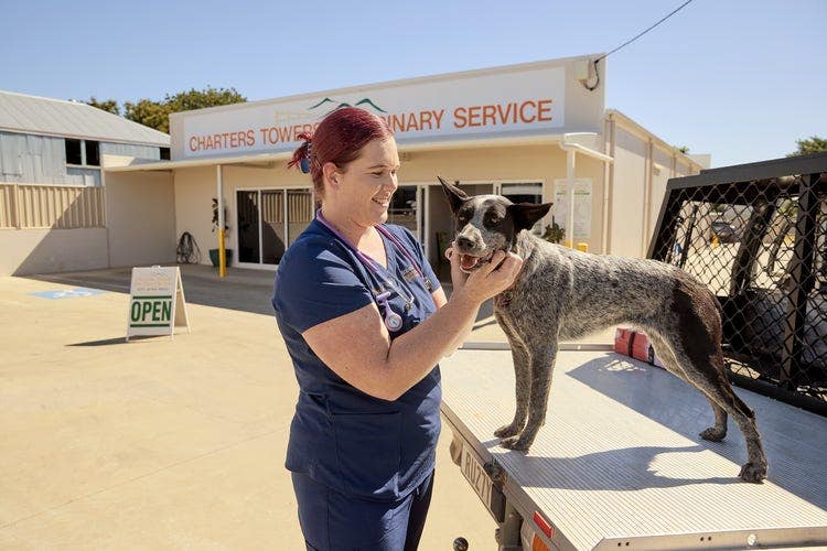 Veterinarian examining a dog on a table outside a clinic building with signage in the background