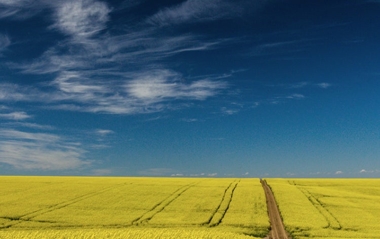 32 Day Notice account offer